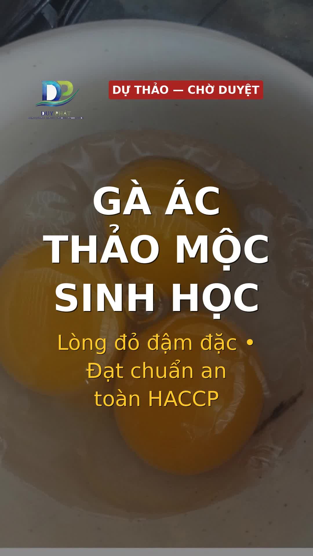 Cảnh 1