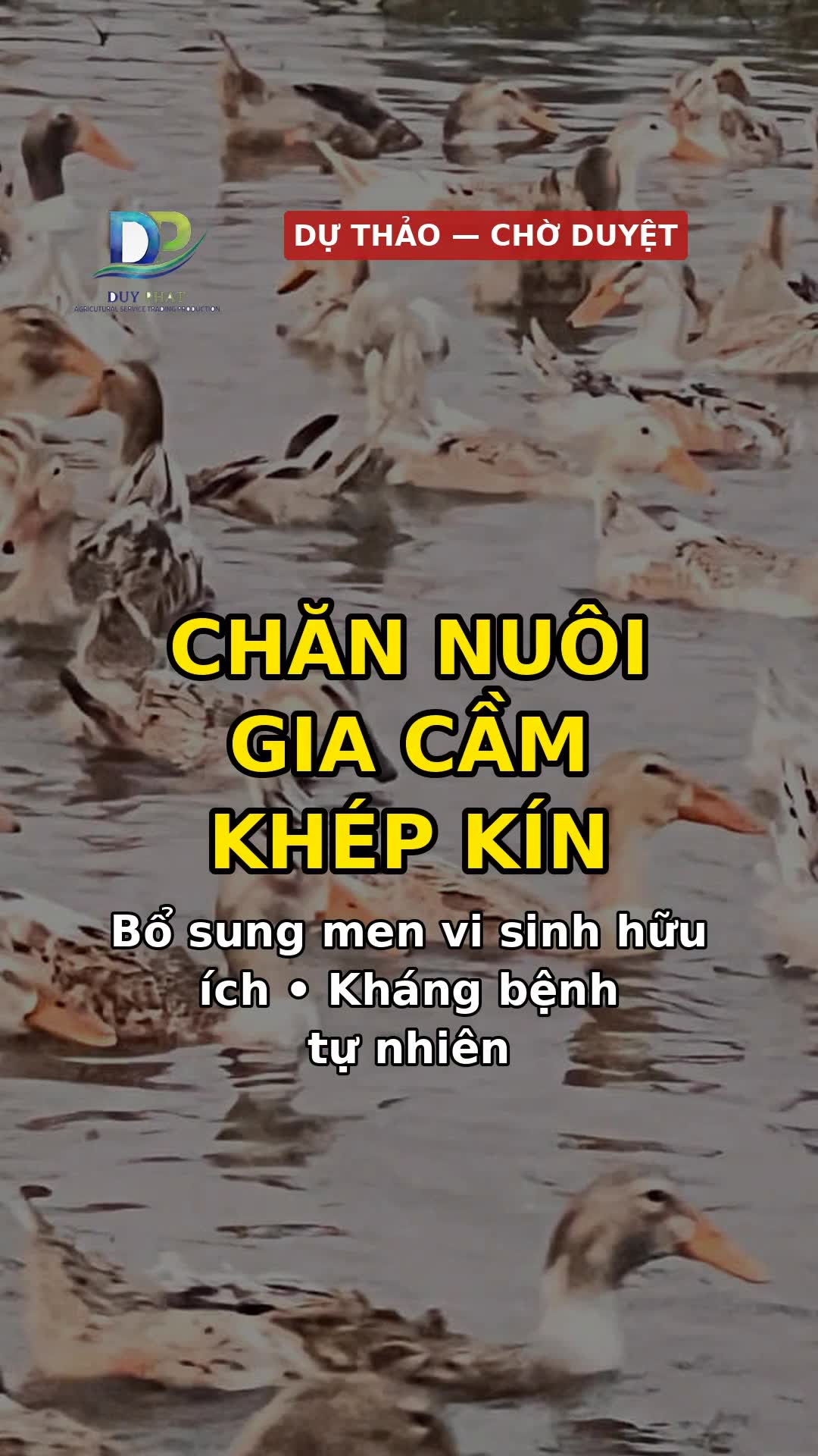 Cảnh 2