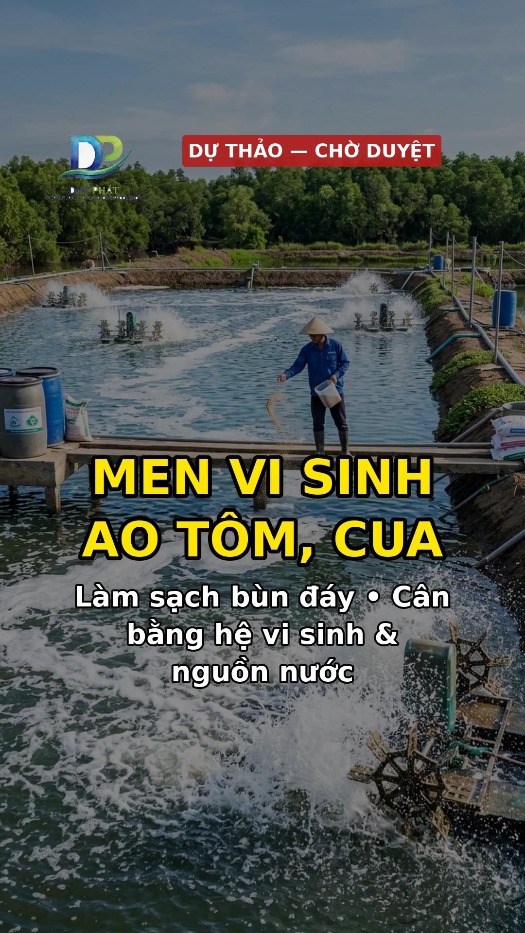 Cảnh 3