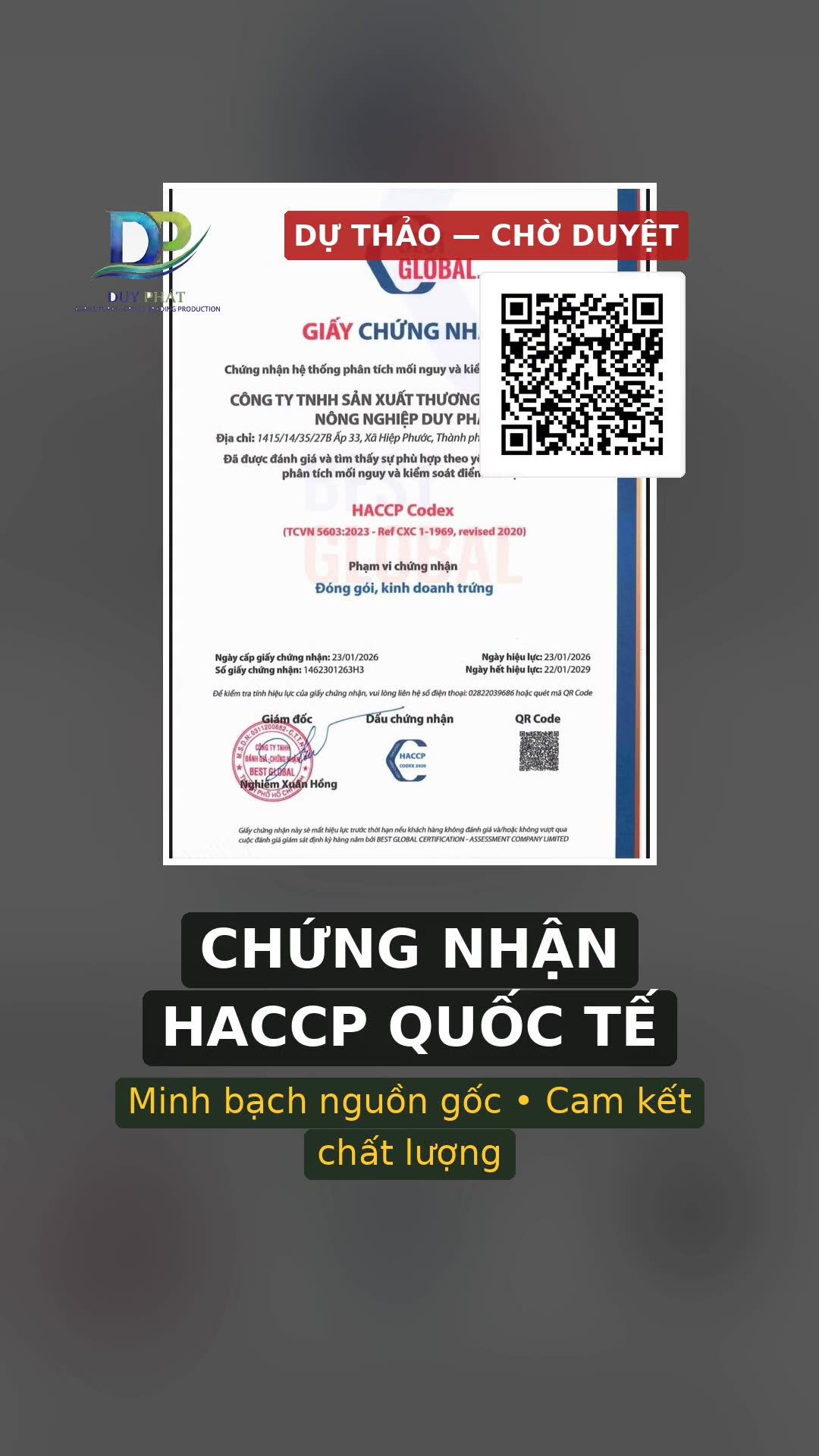 Cảnh 4