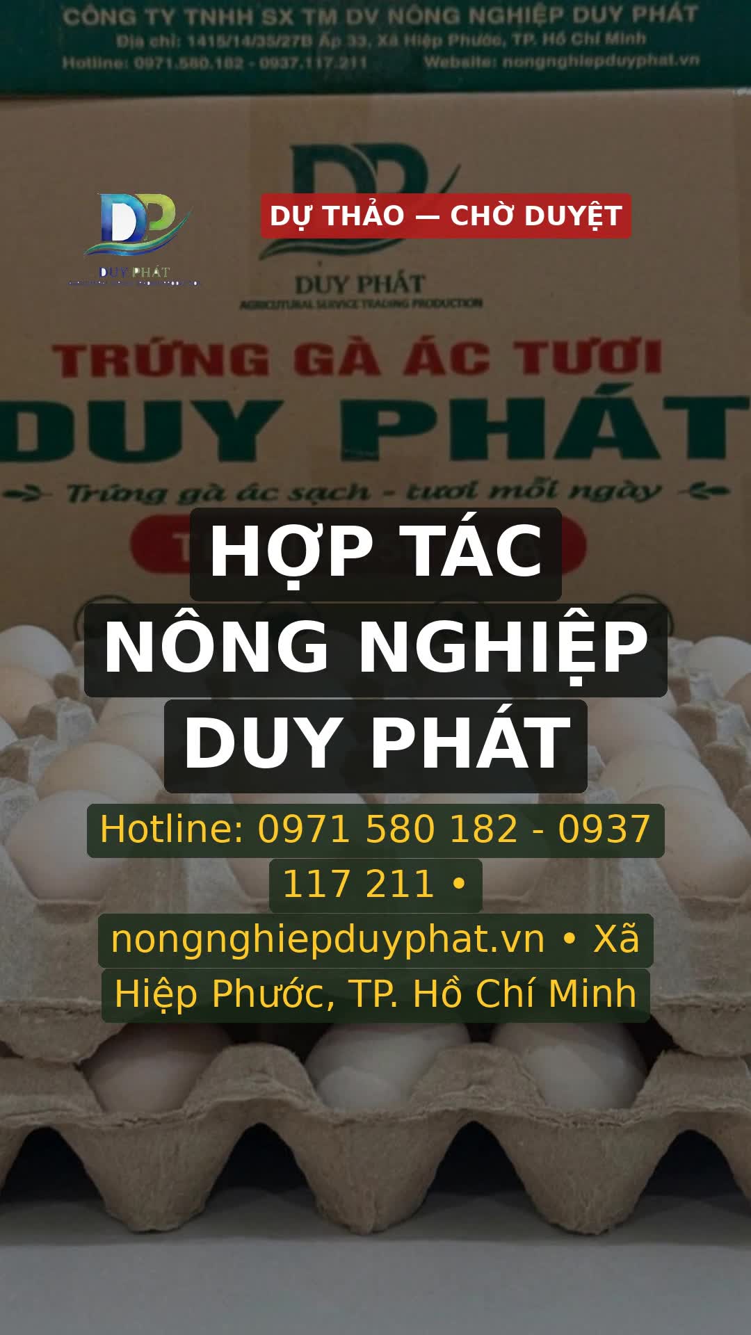 Cảnh 5